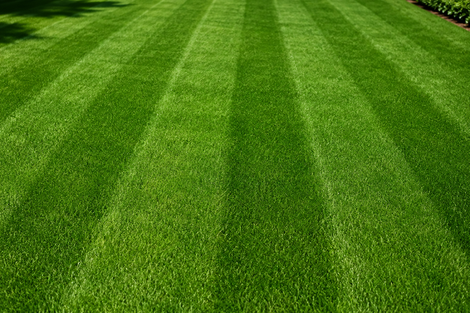Freshly mowed residential lawn with clean striping lines and thick green grass maintained by a professional lawn care service in Lansing, Michigan