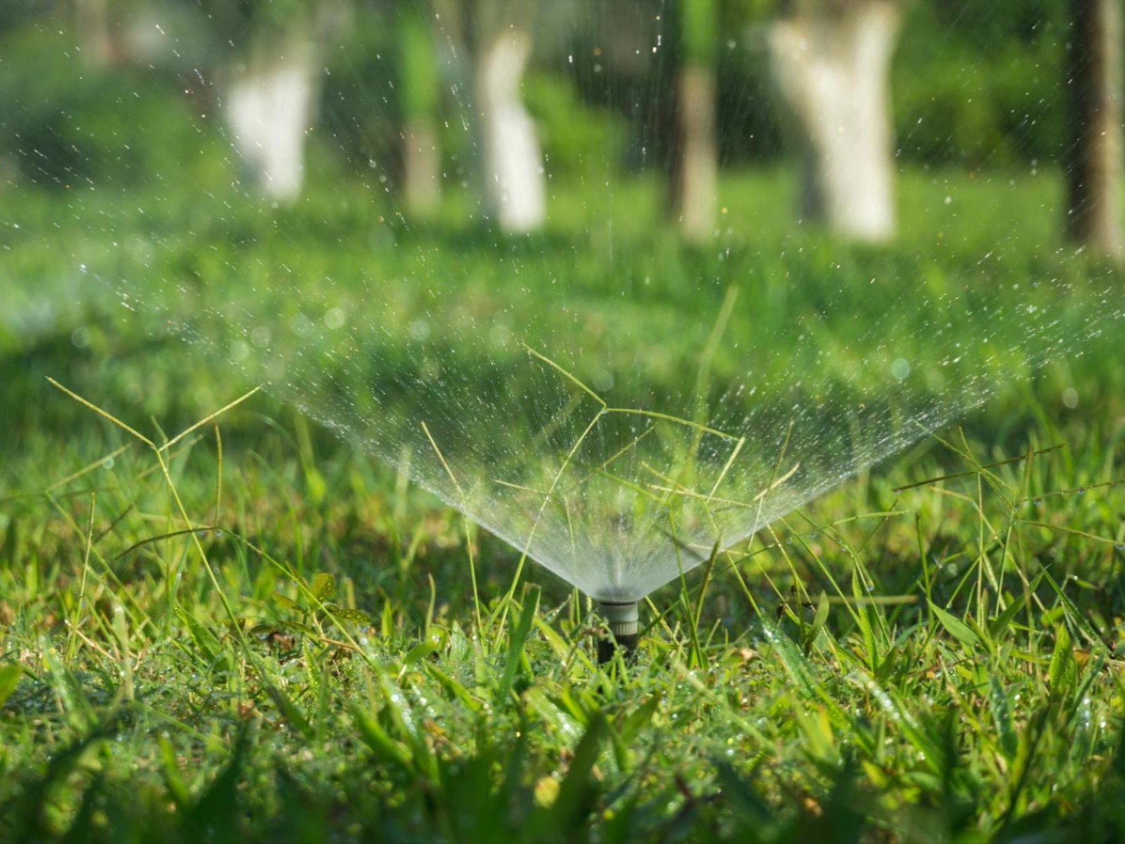 Close-up of a residential irrigation sprinkler watering a healthy green lawn, providing even coverage to support consistent grass growth and landscape health in a residential yard.