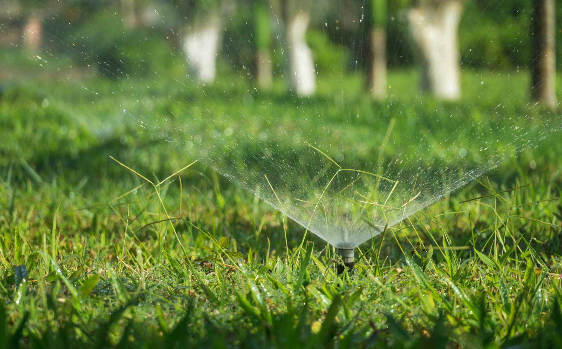 Featured image for the article: How to Water Your Lawn Correctly to Survive Drought in Lansing, MI