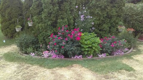 Image depicting the Service Landscaping 