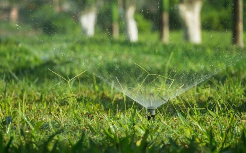 Image depicting the Service Irrigation