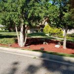 lansing-real-green-lawn-care-gallery-23-1920w_png